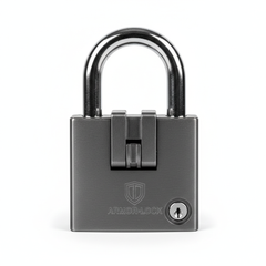 Cadenas de sécurité pour conteneur - vue de face