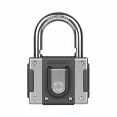 Cadenas de sécurité pour conteneur - vue de face