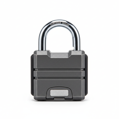 Cadenas de sécurité pour conteneur - vue de face