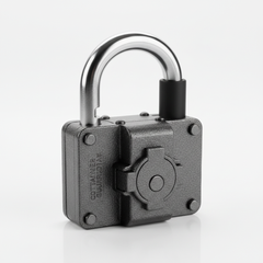 Cadenas de sécurité pour conteneur maritime